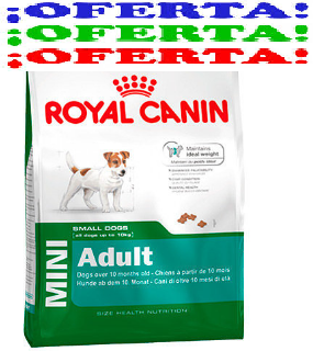/products/pienso-royal-canin-mini-adult/
